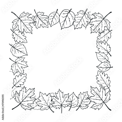 Autumn leaf frame design nature setting graphic art creative environment top-down view seasonal inspiration. Vector illustration