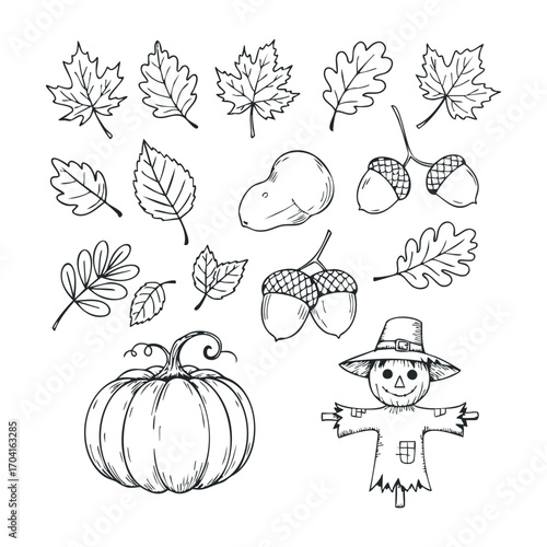 Autumn harvest celebration farm line art natural environment top view seasonal decor. Vector illustration