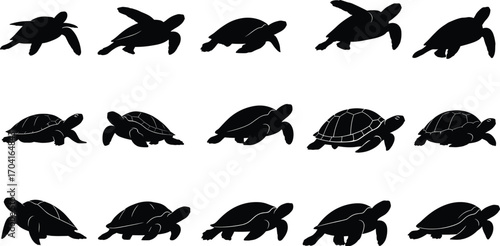 Vector illustration of different turtle and tortoise silhouettes in various poses walking, crawling, and swimming isolated on white background
