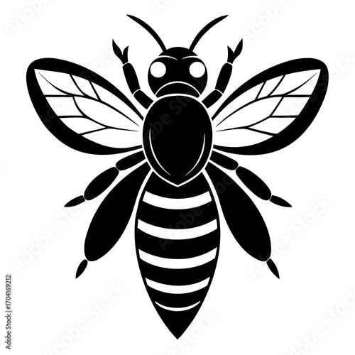 bee and flower
