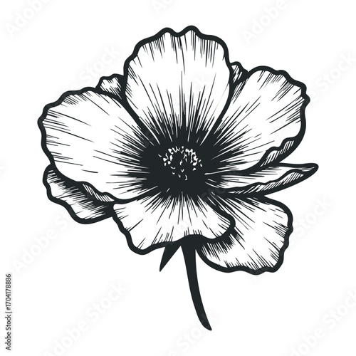 Delicate flower illustration botanical art nature creative design view artistic concept. Vector illustration