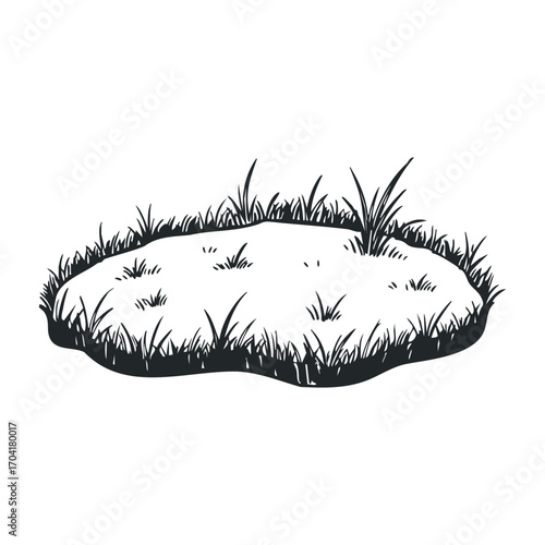 Natural grassland patch open field illustration eco-friendly environment ground level viewpoint nature concept. Vector illustration