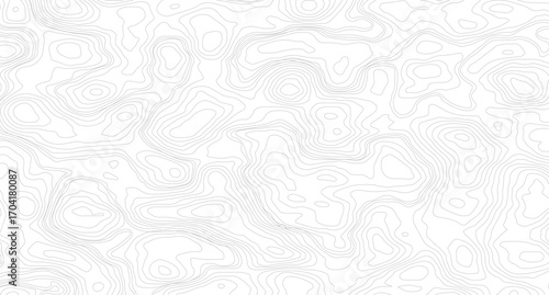 The stylized colorful abstract topographic map with lines and circles background. Abstract topographic contours map background. 
