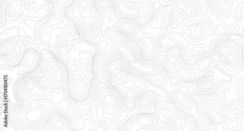 The stylized colorful abstract topographic map with lines and circles background. Abstract topographic contours map background. 