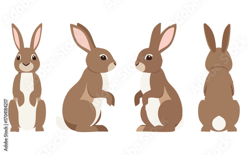 Minimalist vector of a rabbit from different angles