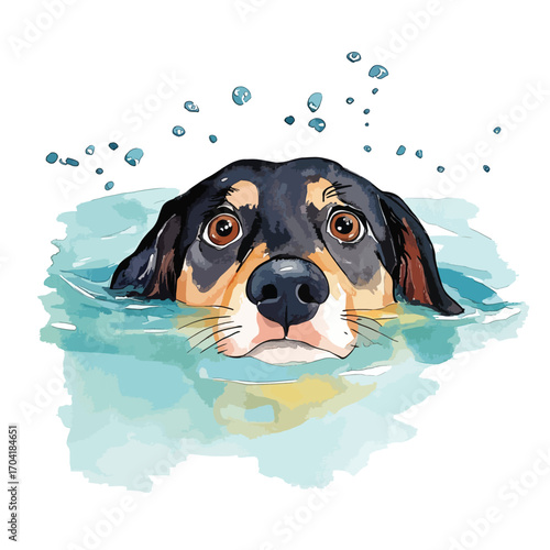 Curious Dog Emerging from Water with Big Eyes and Water Droplets