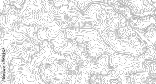 Abstract topographic contours map background, Topography map background. Vector geographic contour map. Topographic idea