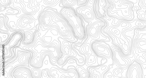Abstract topographic contours map background, Topography map background. Vector geographic contour map. Topographic idea