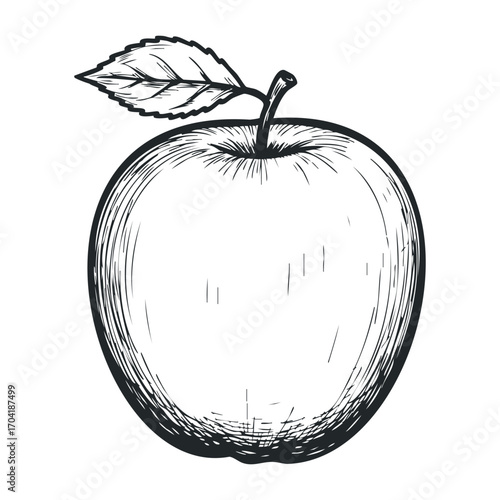 Harvesting fresh apples orchard illustration natural setting healthy lifestyle. Vector illustration