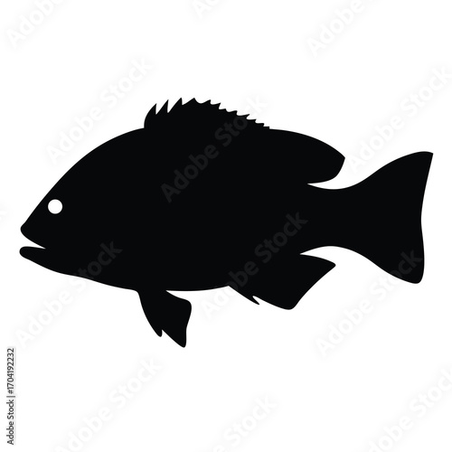 Silhouette of a rocky sole fish swimming in the ocean waters