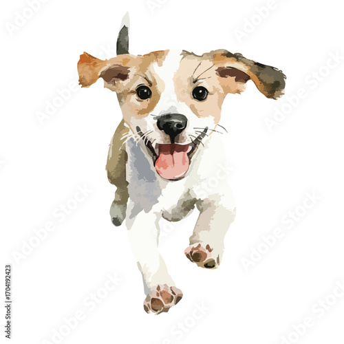 Energetic puppy running forward with open mouth and tongue visible tail up