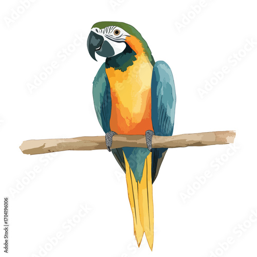 Perched Blue and Gold Macaw with Detailed Plumage and Branch Texture