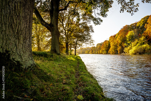 Autumn walks by the river 