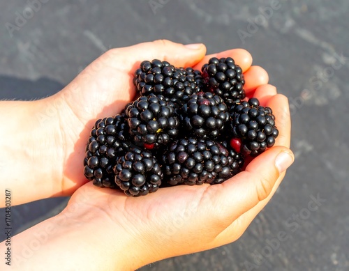 Child's hands holding a bunch of blackberries