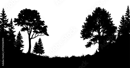 Woodland Scene Silhouette in Black and White