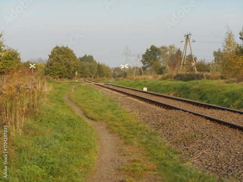 Railway track and trees