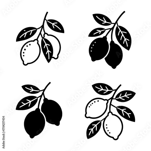 Four Lemon Branch Icons: Variations in Black and White Fill