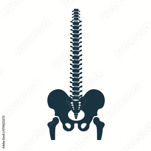 Spine icons set. Simple set of spine vector icons for web design on white background
