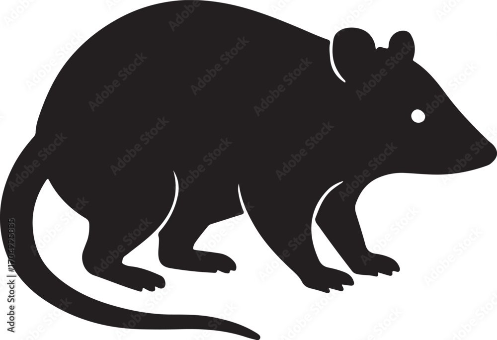 Fototapeta premium Virginia opossum silhouette vector design