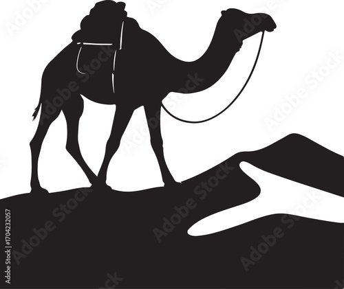 Black silhouette of a camel with saddle on sand dune