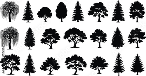 Collection of diverse tree silhouettes in grid layout, featuring various deciduous and coniferous species for nature, botanical, and landscape design
