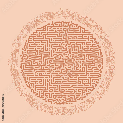 Round maze labyrinth pattern on pink background. Vector illustration of turing reaction diffusion organic lines in circle shape.