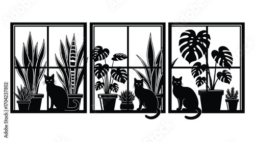 Black cats and potted plants silhouetted against window panes kitten feline