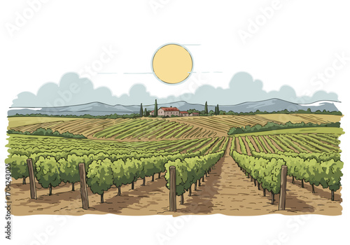 A picturesque vineyard view showcases rolling hills, rows of grapevines, and a charming farmhouse under a sunny sky. Ideal for travel, wine, and lifestyle imagery.