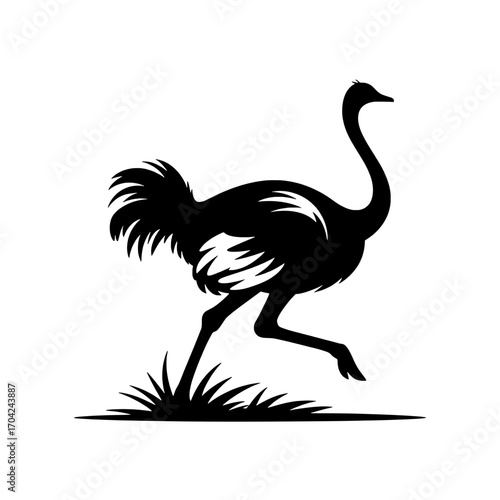 Stylized Black Silhouette of a Running Ostrich on White Background