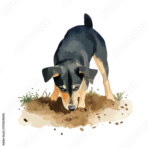 Curious puppy digging in dirt with focused gaze and attentive posture