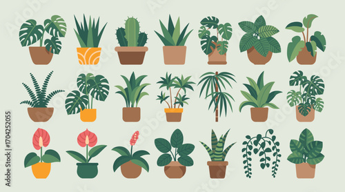Collection of potted houseplants in various green shades and pot colors potted plants indoor plants