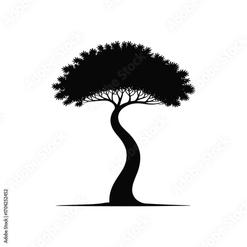Silhouette of a gracefully curved bonsai tree with a full leafy canopy on a stark white backdrop