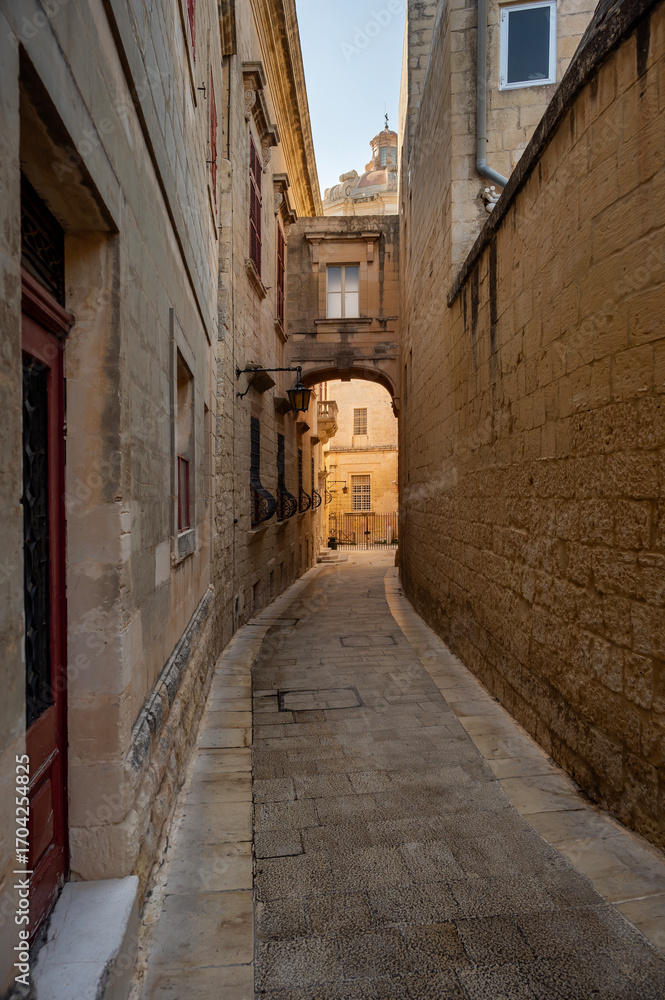 Fototapeta premium Streets of Mdina, Malta