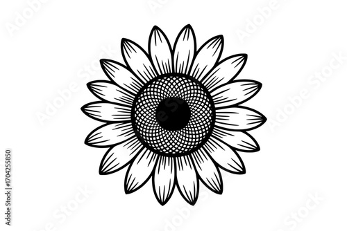 Single Black and White Sunflower Illustration: Detailed Line Art of a Sunflower with 16 Petals and a Detailed Center