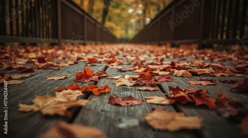 Autumn in the city