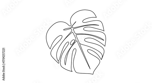 Elegant outline drawing of a tropical monstera deliciosa leaf with distinctive holes and slits