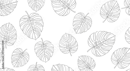 Elegant outline pattern of tropical monstera leaves on a clean white background