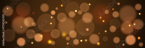 Bokeh bright lights template. Abstract effect of blurred overlay on a dark background. Vector illustration