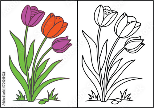 Colorful Tulips in Bloom and Black and White Outlines Floral Art for Creative Coloring Fun