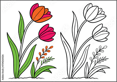 Delightful Duo of Tulips in Color and Black and White A Floral Study in Contrasting Styles