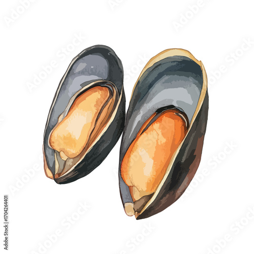 Two Open Mussels Vibrant Watercolor Style Detailed Illustration