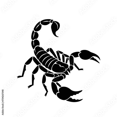 Scorpion Silhouette Detailed Design, Vector Graphic for Tattoo & Symbol
