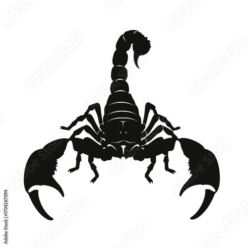 Silhouette Scorpion Detailed Illustration of a Dangerous Creature for Artistic Design