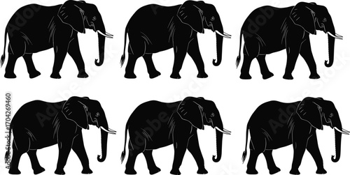 Vector illustration of six walking elephants, black silhouette with white highlights, wildlife animals, nature, exotic African mammals isolated