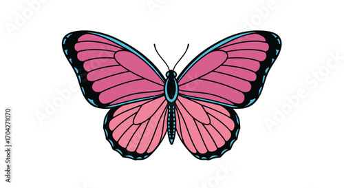 A beautiful pink butterfly with black and blue markings on its wings.