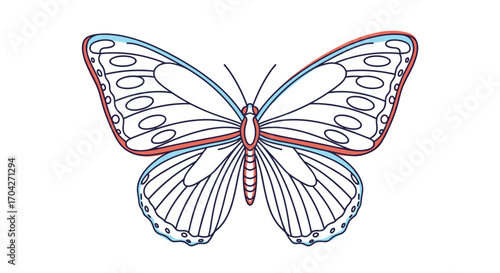 The detailed anatomical illustration of a butterfly's wings and body showing intricate patterns.