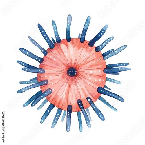 Vibrant Watercolor Illustration of a Sea Urchin