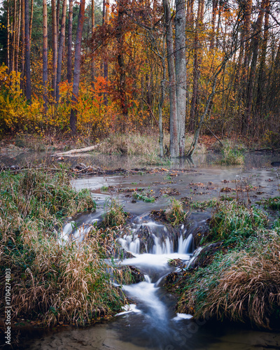 small waterfall inthe forest