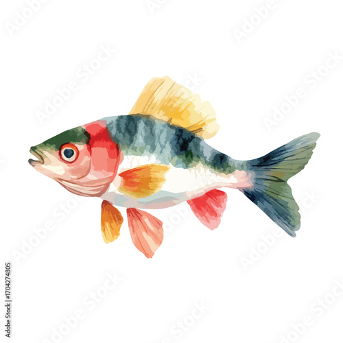 Vivid Watercolor Perch A Colorful Fish Portrait