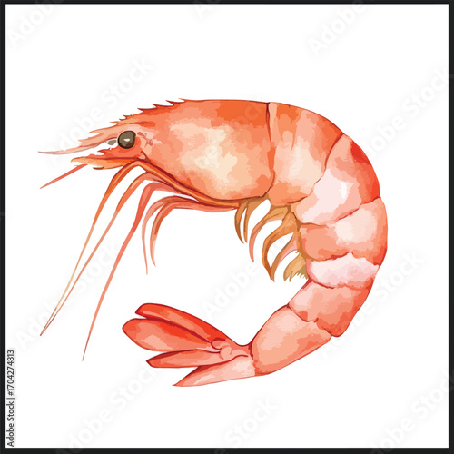 Vivid Watercolor Shrimp Curving Gracefully